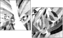 21369236