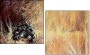 21581087