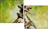 21588085