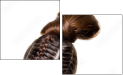 21787769
