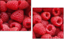 22816665