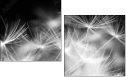 23180311