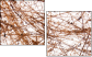 23639472