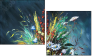 24170906