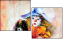 24495257