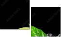 28000500