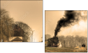 29517510