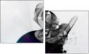 30296813
