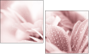 31030439