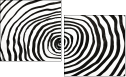 324703304