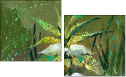 32753279