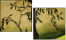 34338759