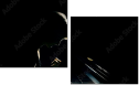 39076557