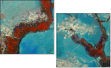 39415296