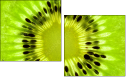 39788047