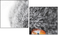 41365560