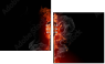 42055201