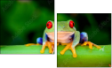42467641