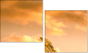 42979292