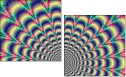 43418541