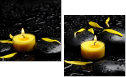 43880281