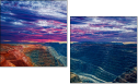 44044757
