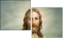 44247495