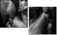 45026445