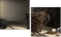 45539882