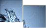 45608102