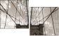 45668708