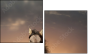 46097266