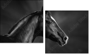 46196337