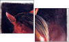 46243808