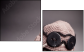 46421983