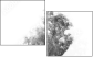 47020348