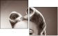 47684799