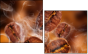 47749181