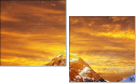 48905885
