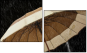 49306047