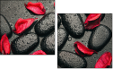 49357610