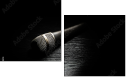 49444214