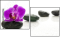49566256