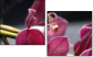 49633319
