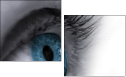 49921743