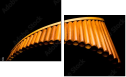 50197019