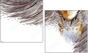 50509602