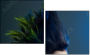 50564432