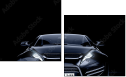50982102