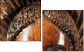 52004103